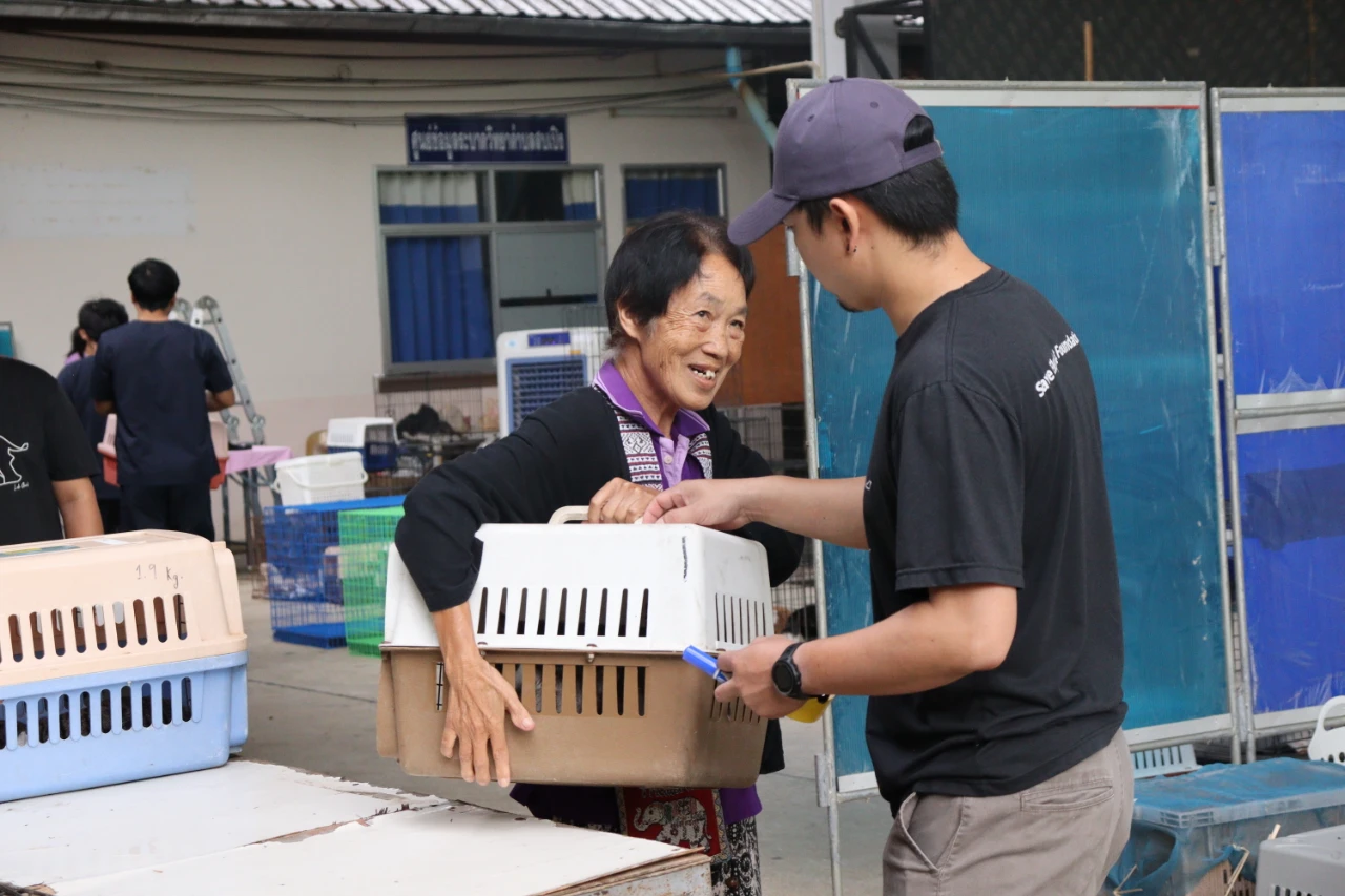 catalogs_file_1544_49_59_272504.webp