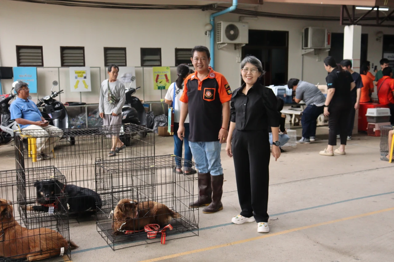 catalogs_file_1544_49_59_274876.webp