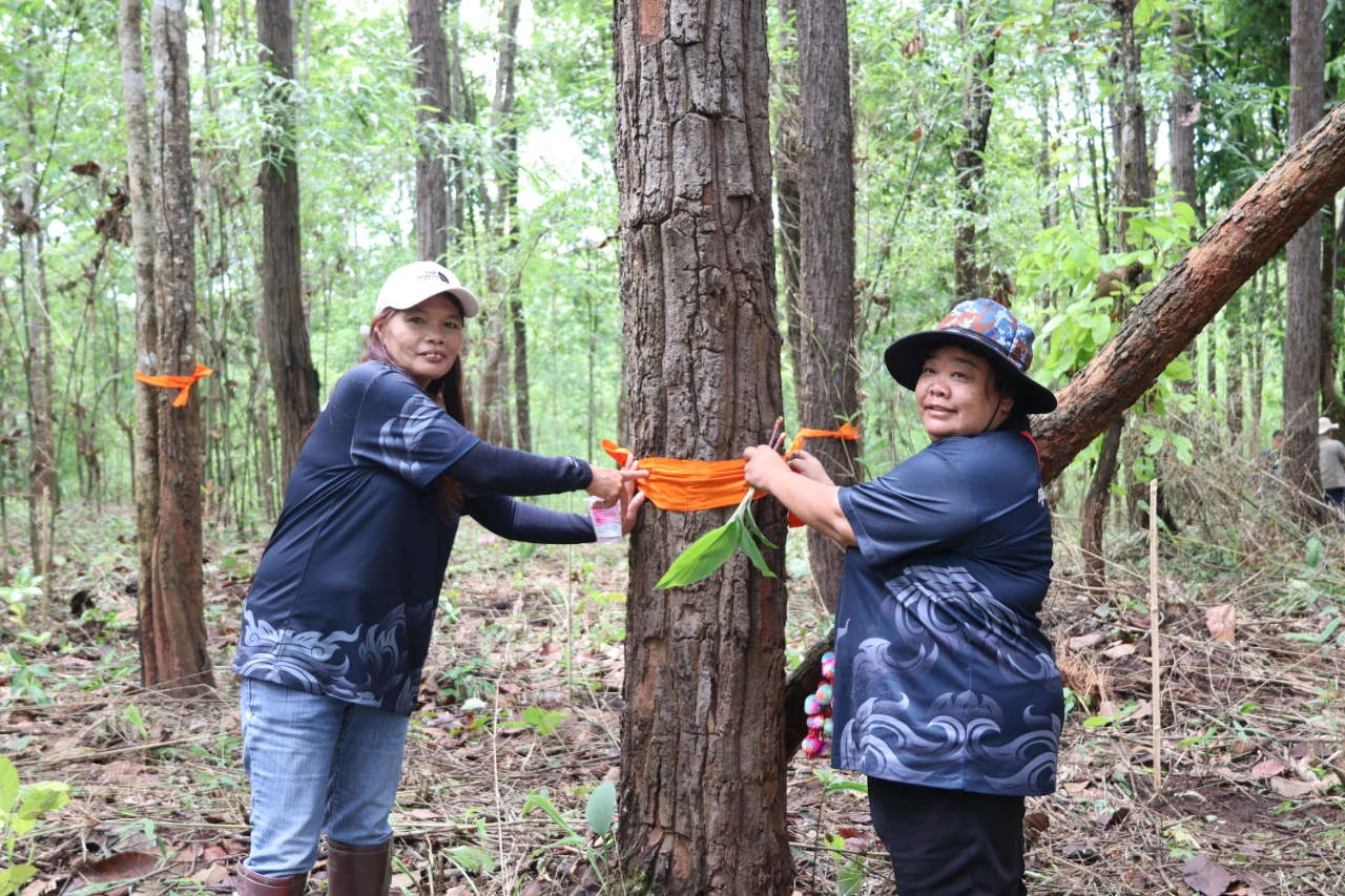 catalogs_file_1558_20_55_253808.webp